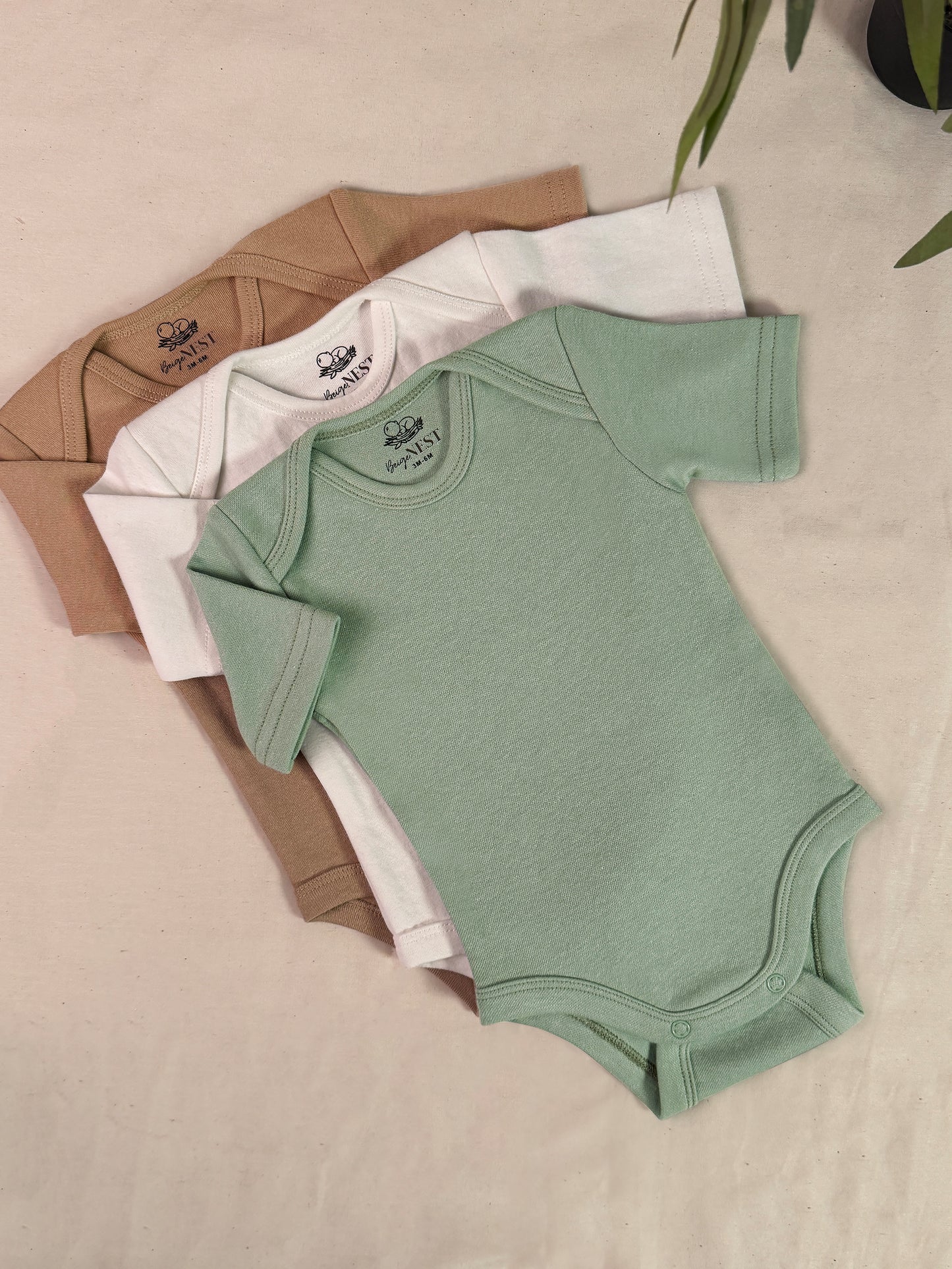 Baby Bodysuits - Half Sleeves (Mix colours)