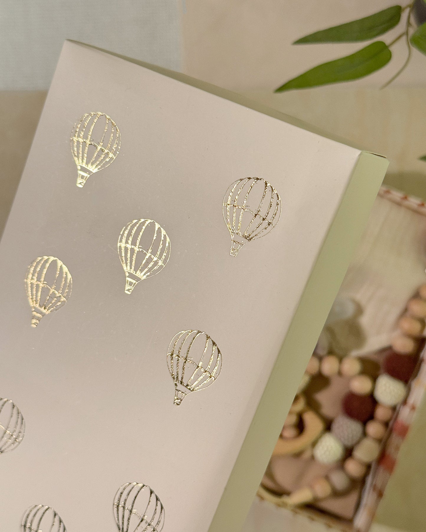 First Flight - Newborn Gift Box